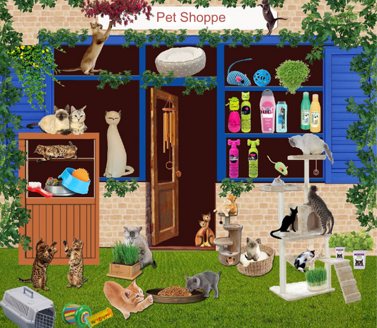 Top Trends in Pet Accessories for 2024