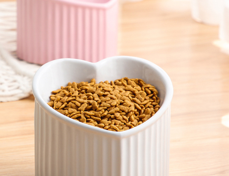 Durable Indoor Pet Dish
