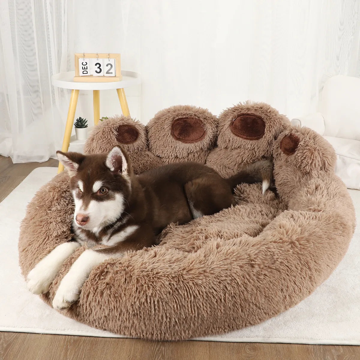 Pet Small Dogs Sofa Beds