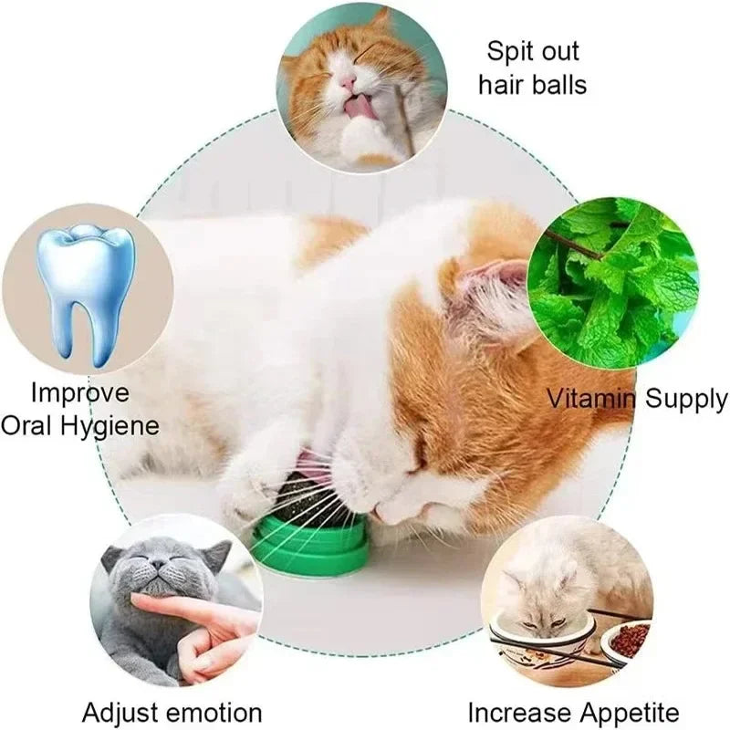 Rotatable Catnip Ball Toy
