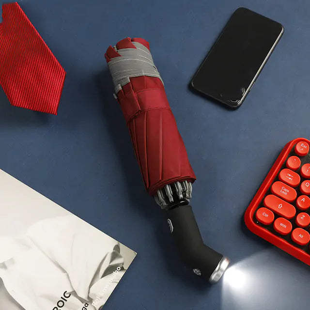 Automatic Umbrella