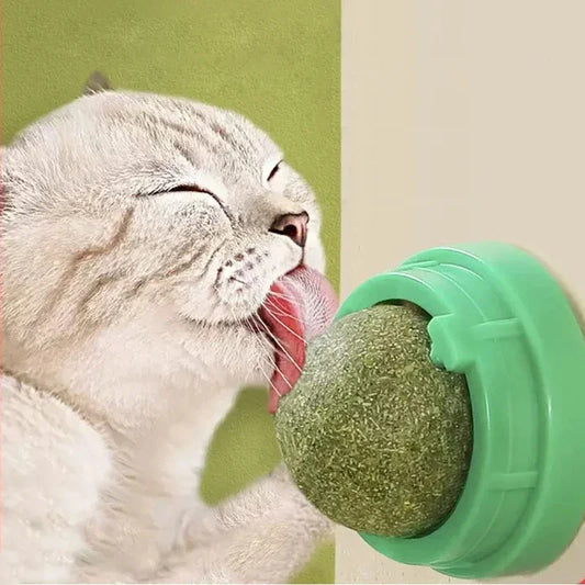 Rotatable Catnip Ball Toy