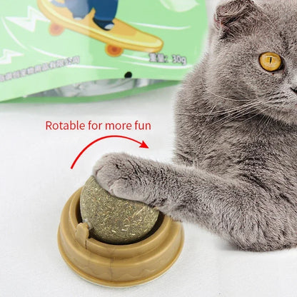 Rotatable Catnip Ball Toy