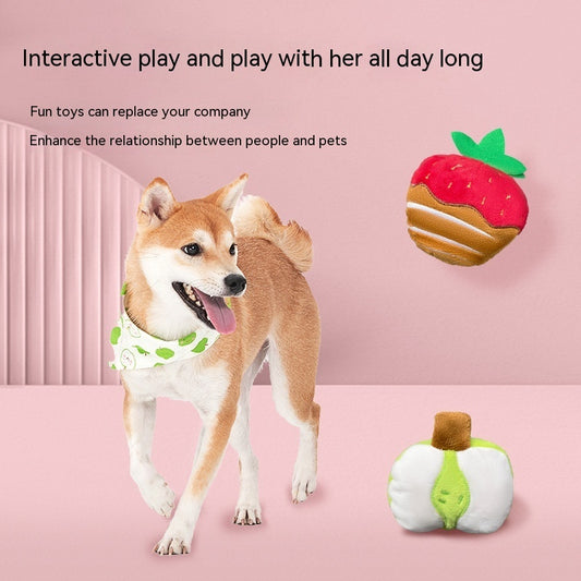 Strawberry Chocolate Dog Toy 