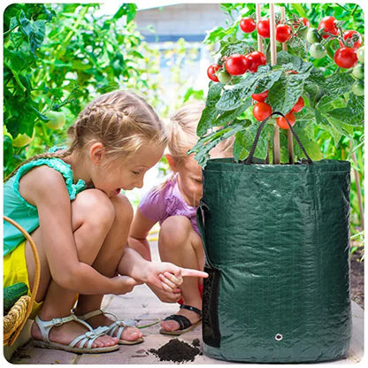 Vegetable Planter Growing Bag