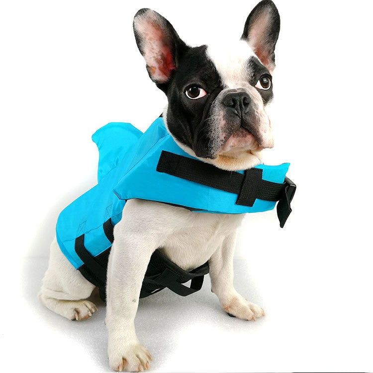 Dog life store jacket in store